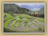 原 茂介
