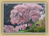 原茂介「龍珠院の桜」