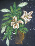 img0000.jpg