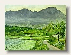 田植えの頃