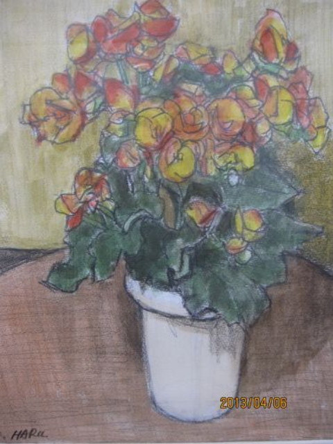 img0009.jpg